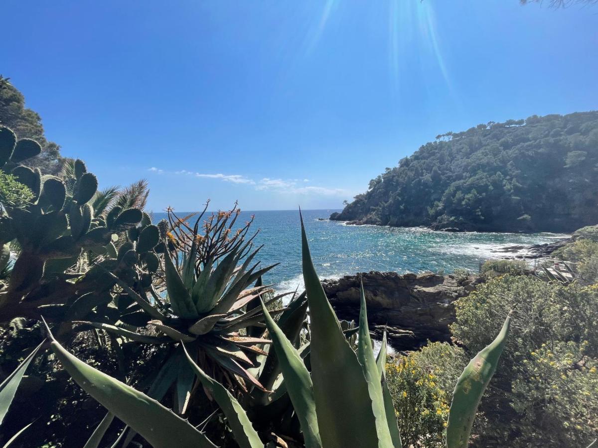 La Cavalaire-sur-Mer