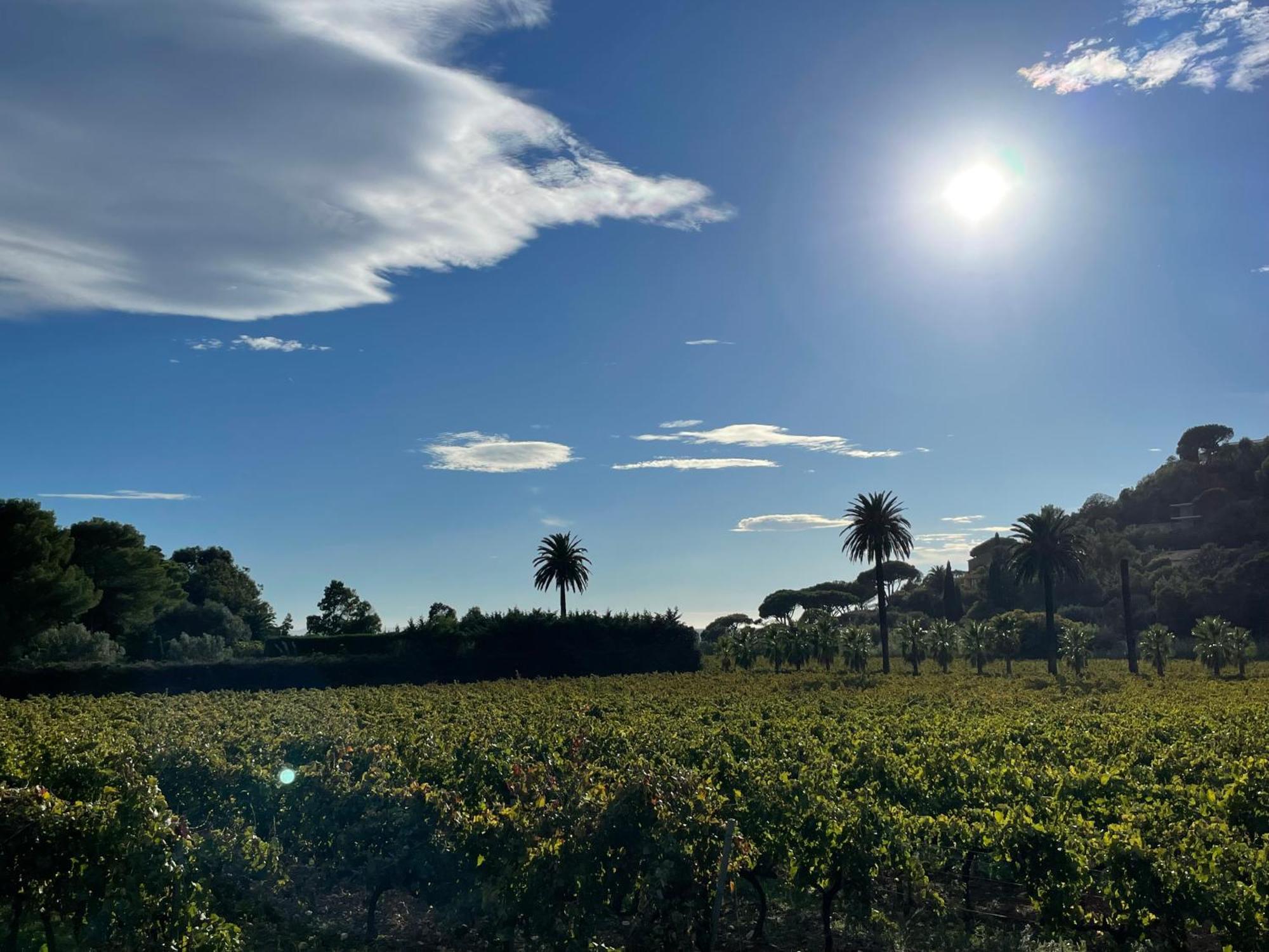 La Holiday home Cavalaire-sur-Mer